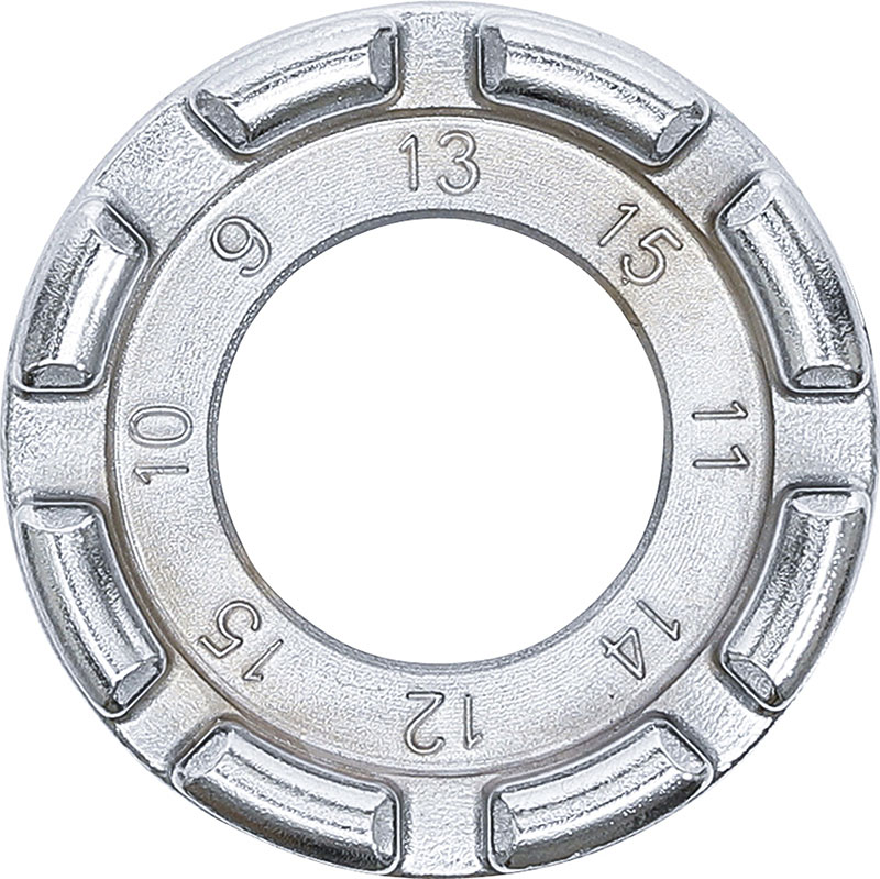 Alpina nippli per raggi zinco/argento 14-308 mm (18 pezzi
